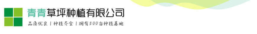 im电竞·(中国)电子竞技平台